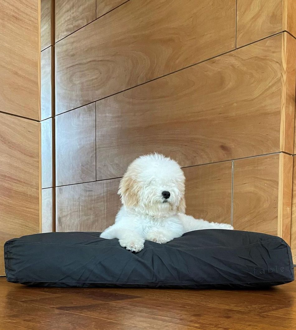 Fable Bed - Eva Pet - Fable Pets