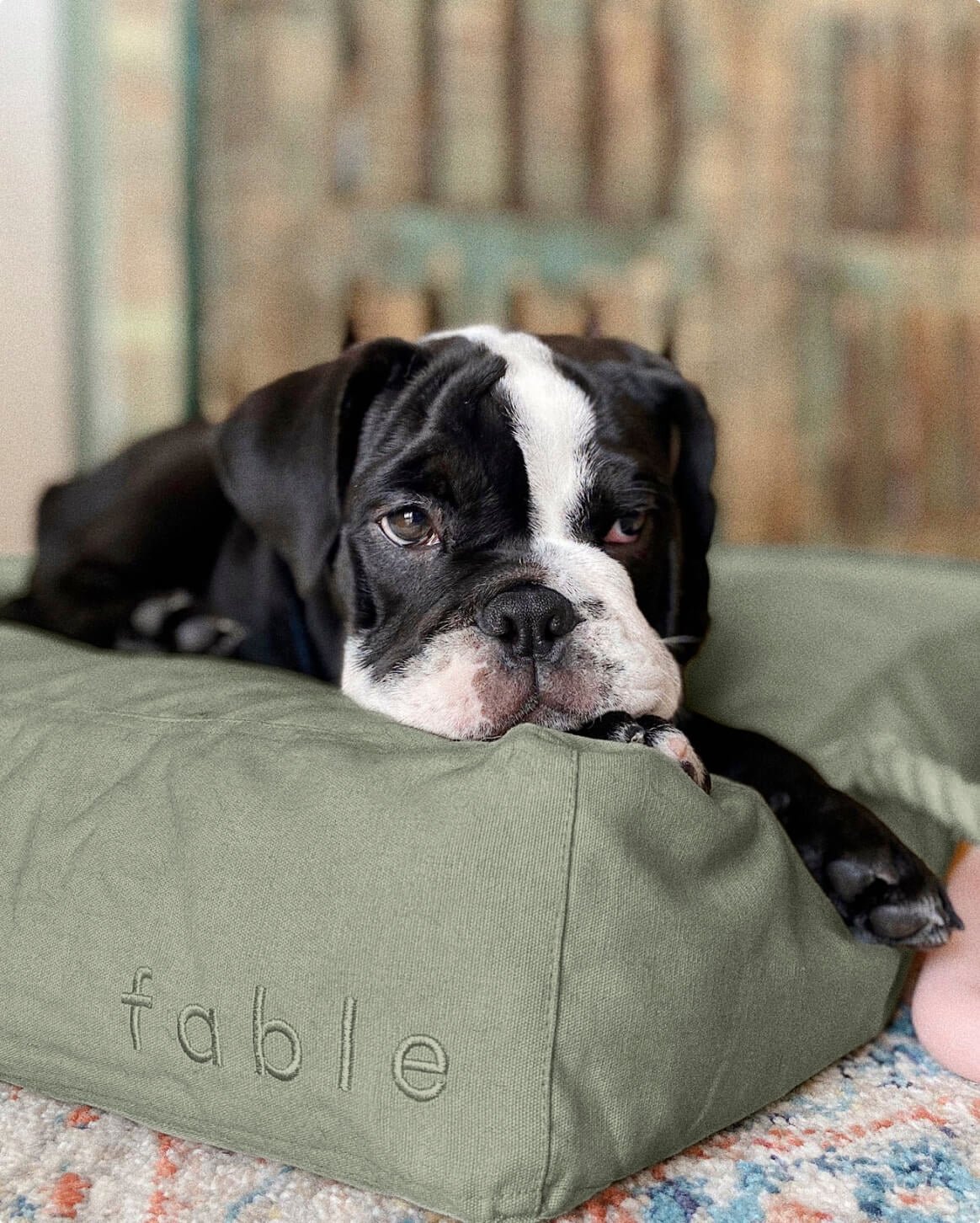Fable Bed - Eva Pet - Fable Pets