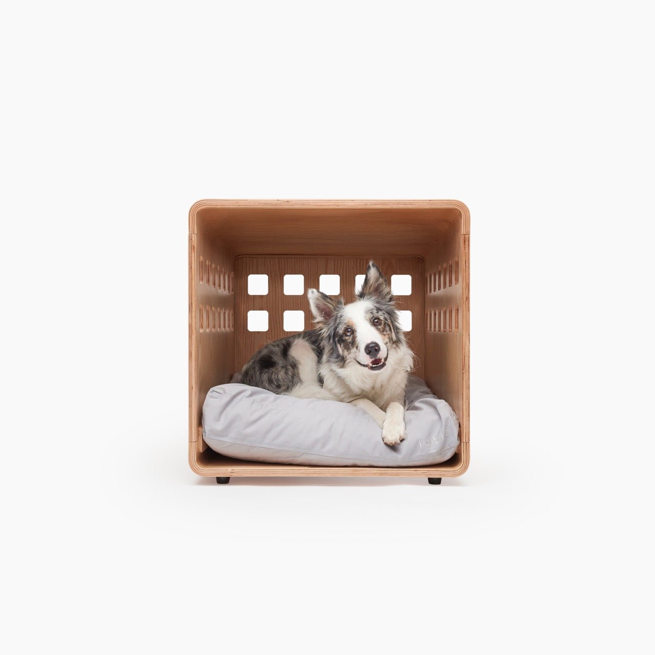 Fable Crate - Eva Pet - Fable Pets