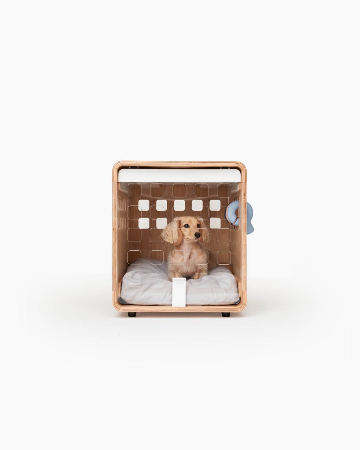 Fable Crate - Eva Pet - Fable Pets