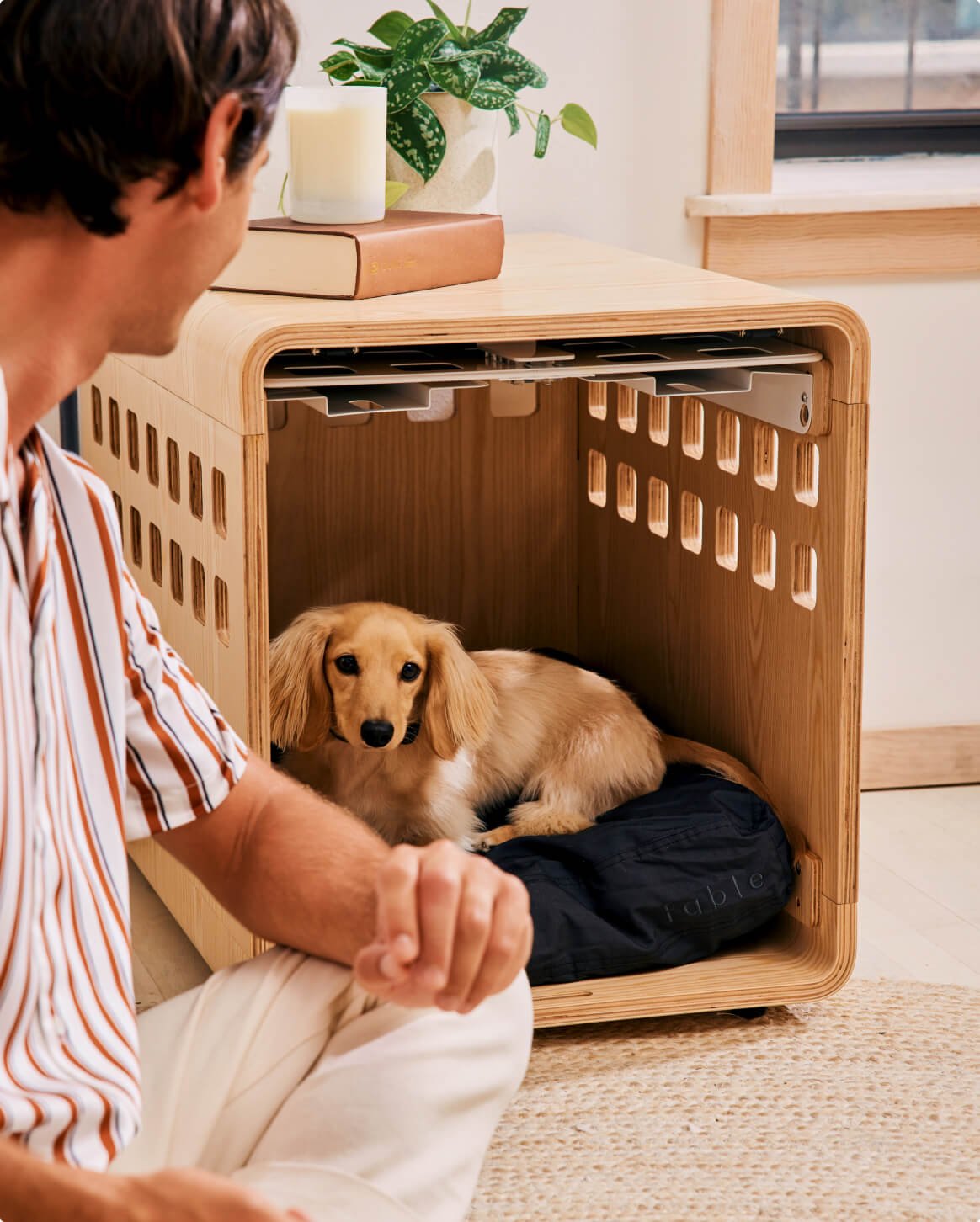 Fable Crate - Eva Pet - Fable Pets