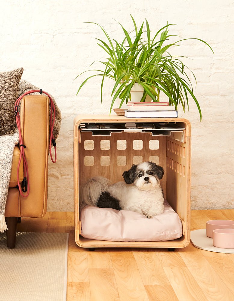 Fable Crate - Eva Pet - Fable Pets