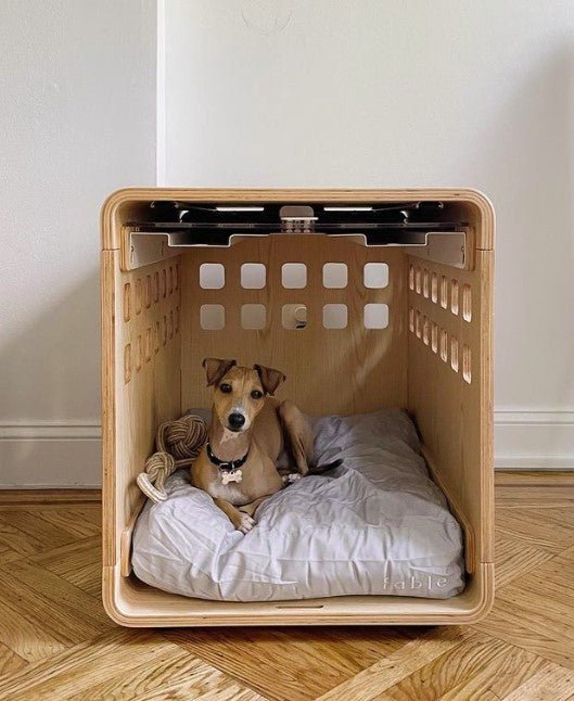 Fable Crate - Eva Pet - Fable Pets