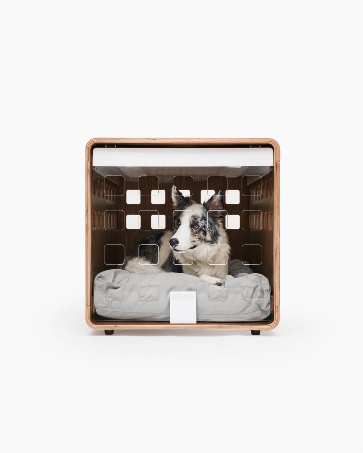 Fable Crate - Eva Pet - Fable Pets