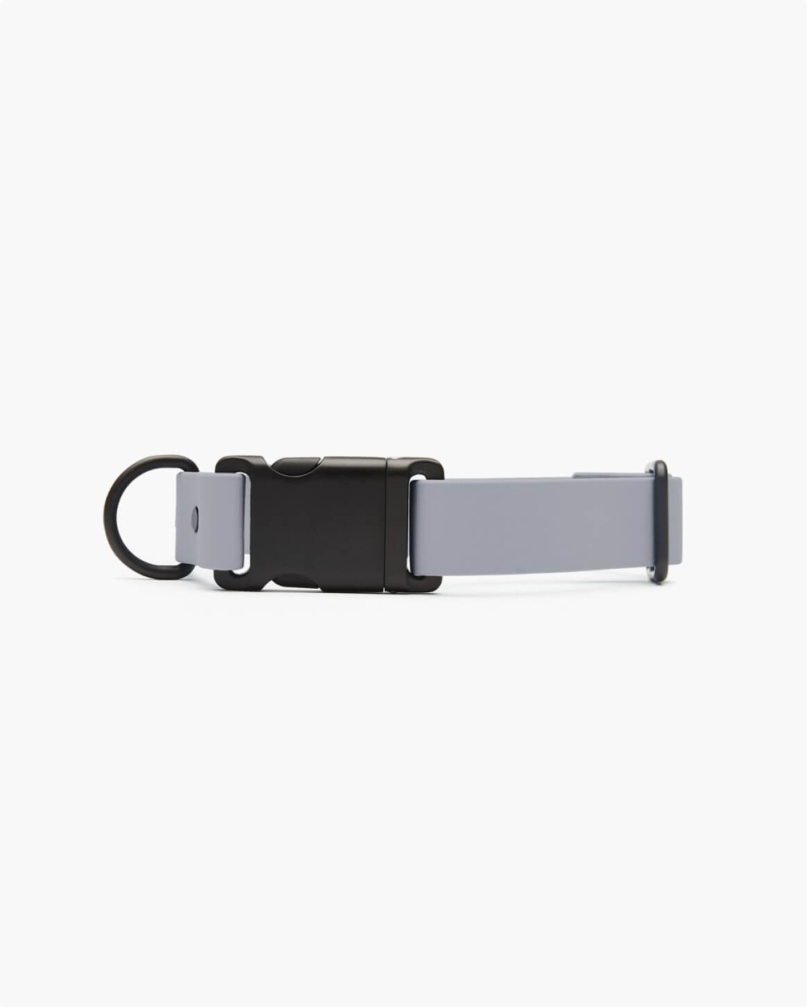 Fable Signature Collar - Eva Pet - Fable Pets