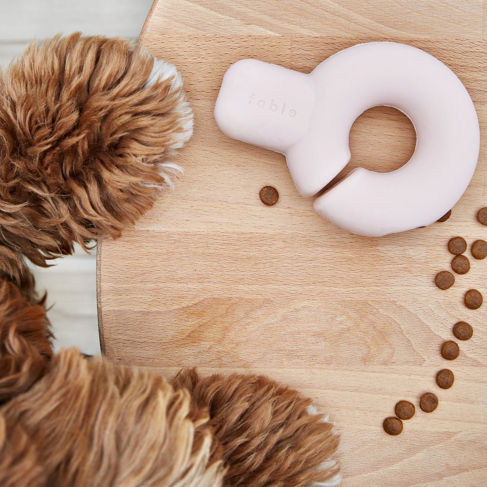 Falcon Toy™ - Eva Pet - Fable Pets