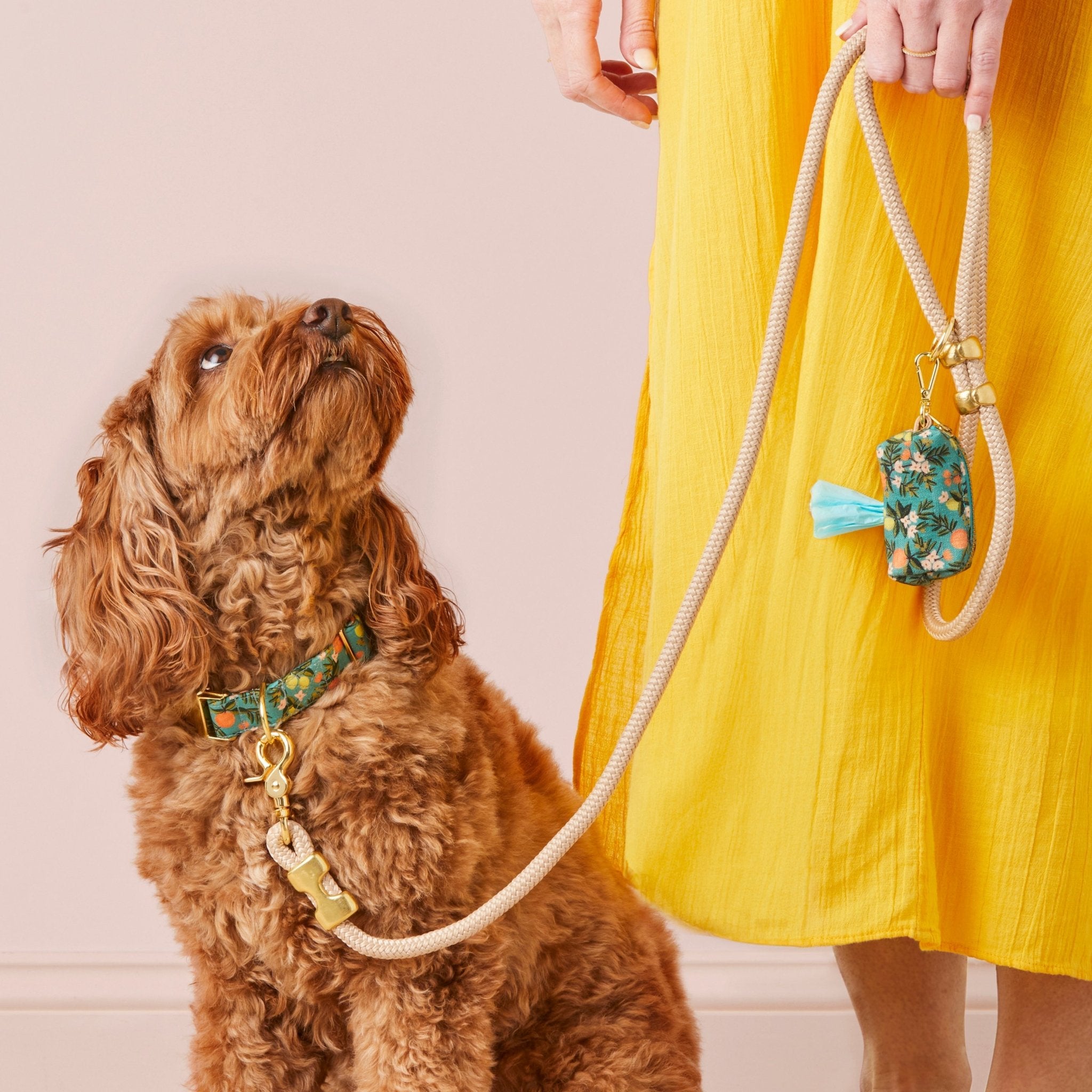 Flax Marine Rope Dog Leash - Eva Pet - The Foggy Dog