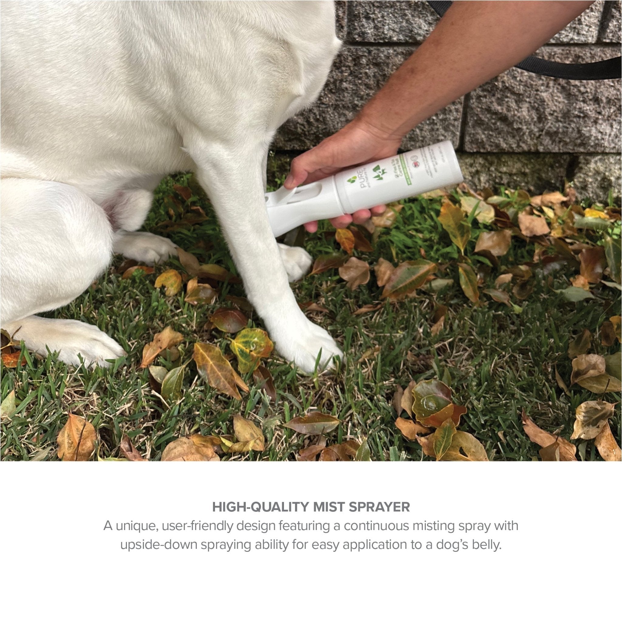 Flea and Tick Spray for Dogs - Eva Pet - Pure and Natural Pet