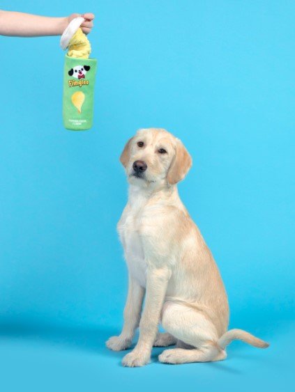 Flingles Can Plush Dog Toy - Eva Pet - BARK