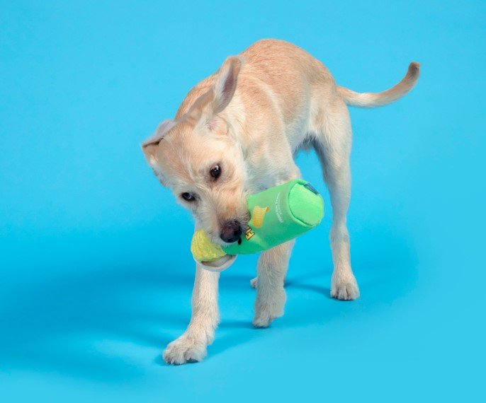 Flingles Can Plush Dog Toy - Eva Pet - BARK