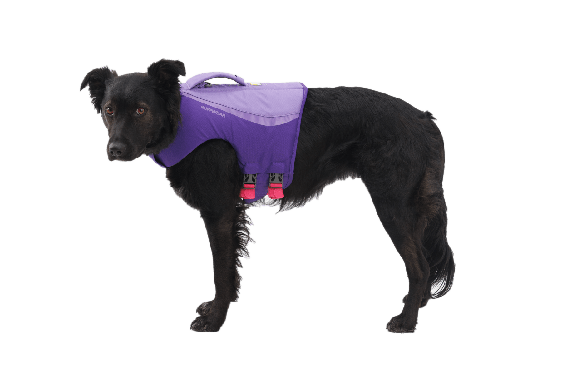 Float Coat™ Dog Life Jacket - Eva Pet - Ruff Wear Inc.