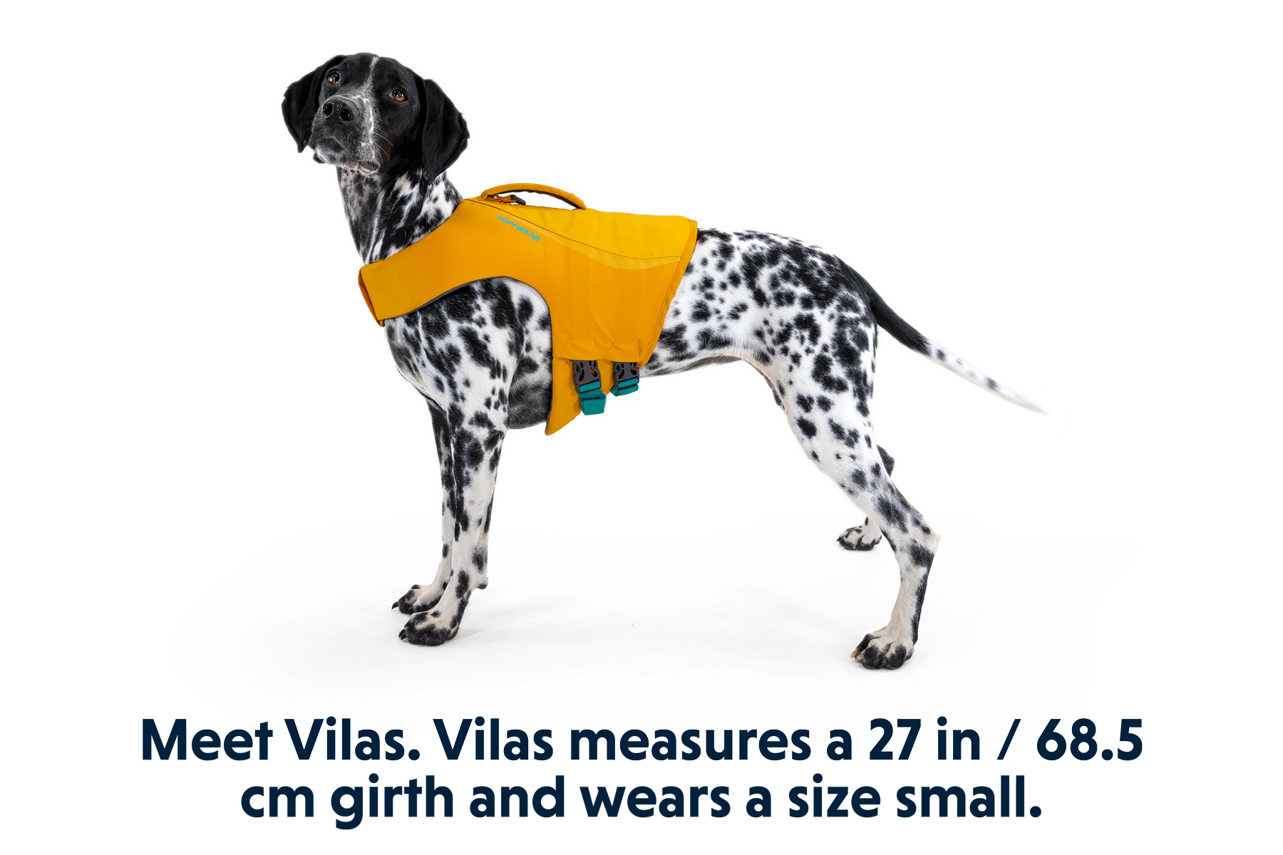 Float Coat™ Dog Life Jacket - Eva Pet - Ruff Wear Inc.