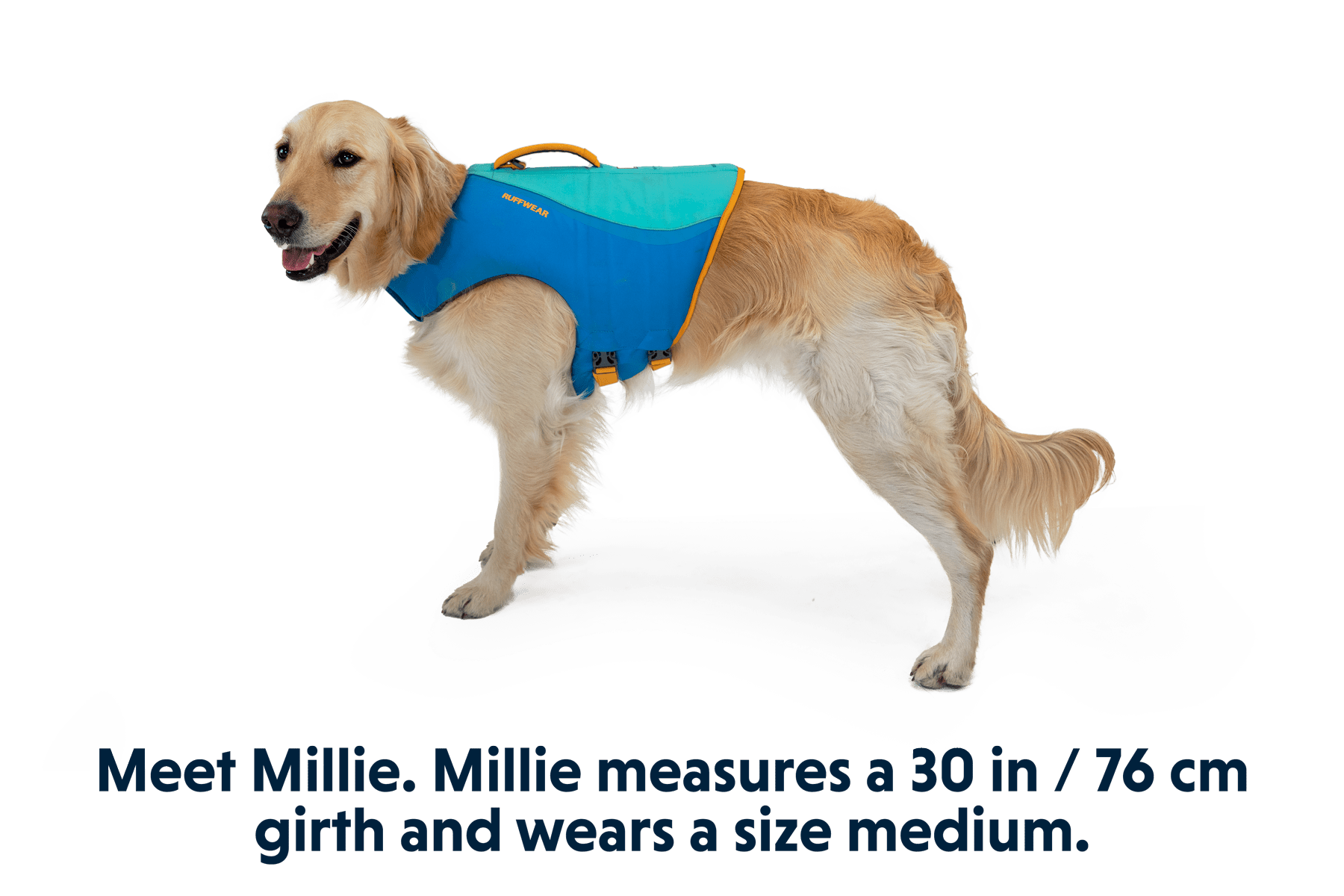 Float Coat™ Dog Life Jacket - Eva Pet - Ruff Wear Inc.