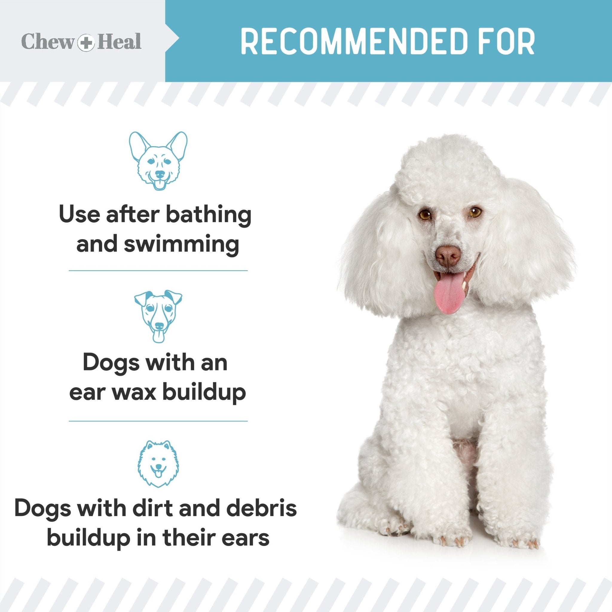 Fresh Scent, Soothing Aloe, Witch Hazel & Tea Tree Oil Dog Ear Cleaner - Eva Pet - Chew + Heal