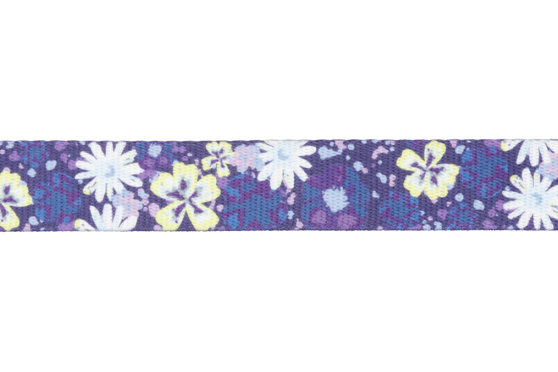 Front Range™ Dog Collar - Eva Pet - Ruff Wear Inc.