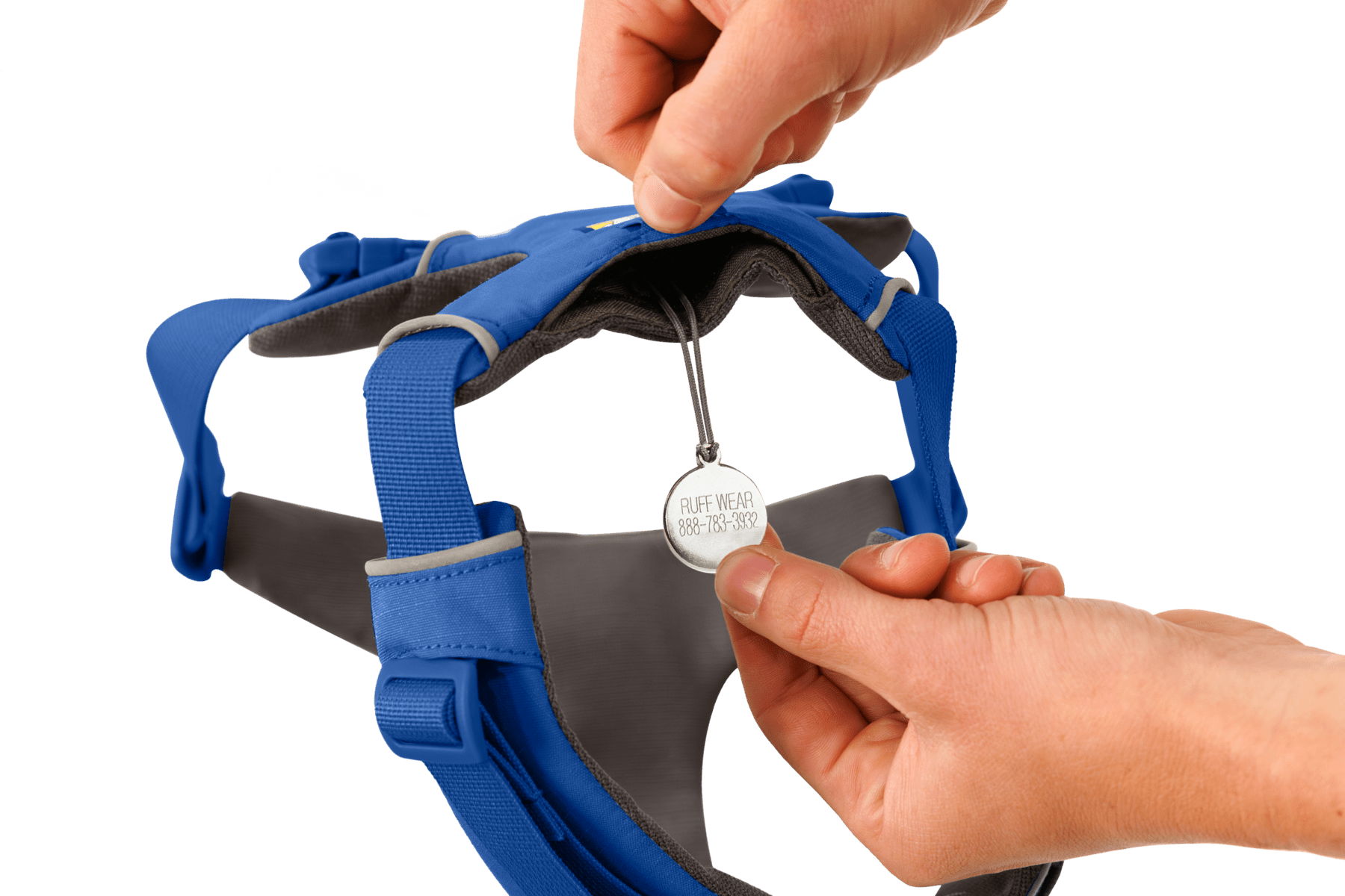 Front Range® Dog Harness - Eva Pet - Ruff Wear Inc.