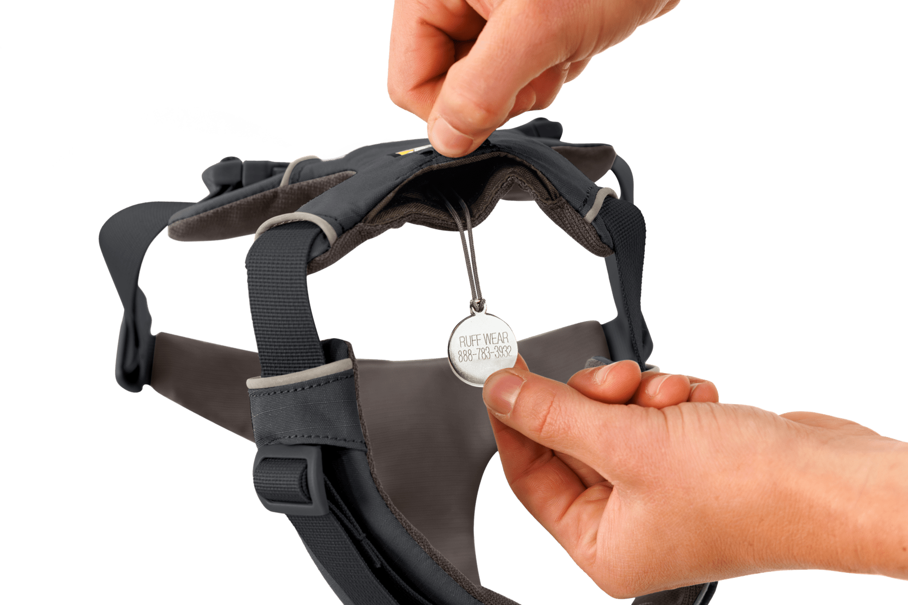 Front Range® Dog Harness - Eva Pet - Ruff Wear Inc.