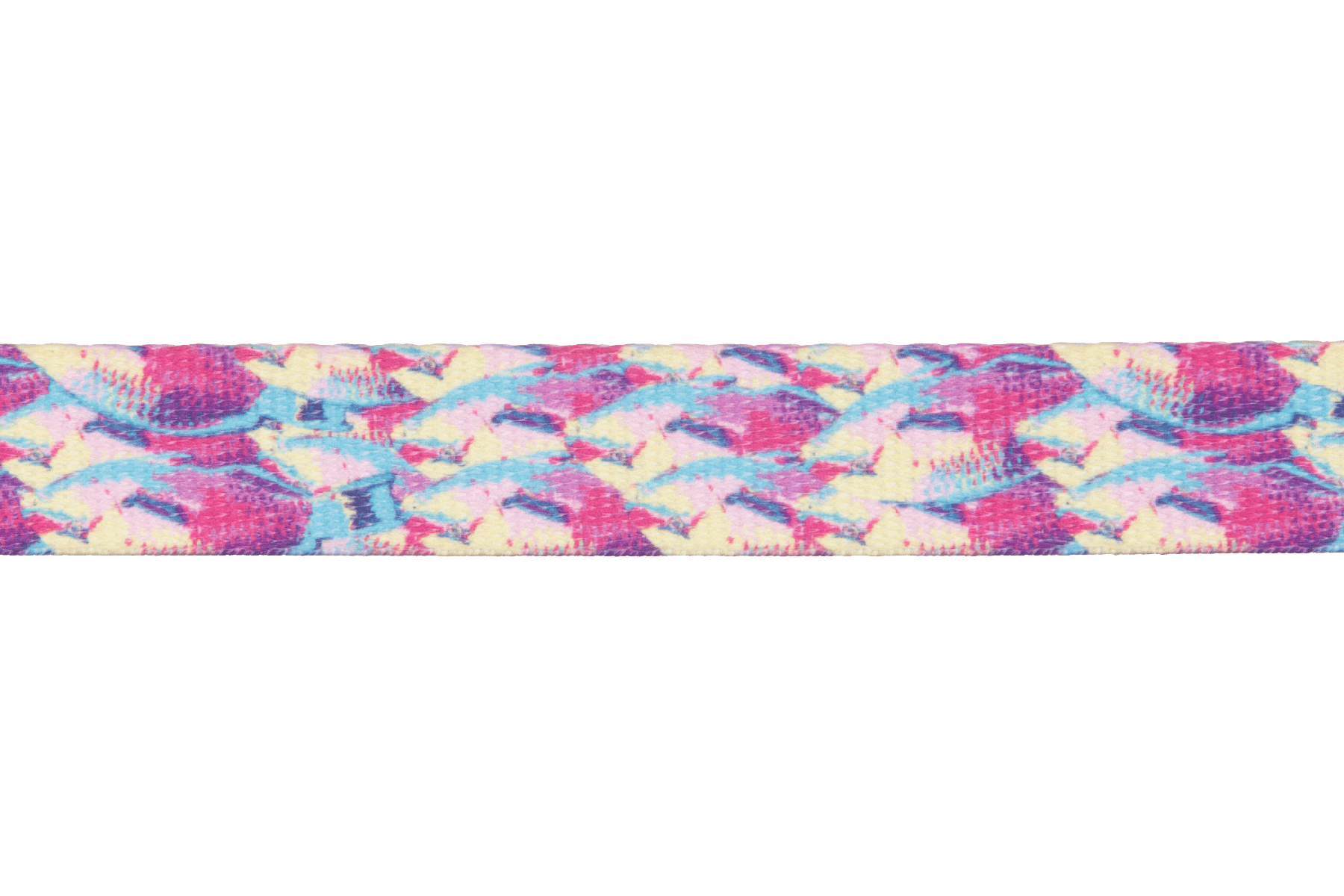 Front Range™ Dog Leash - Eva Pet - Ruff Wear Inc.