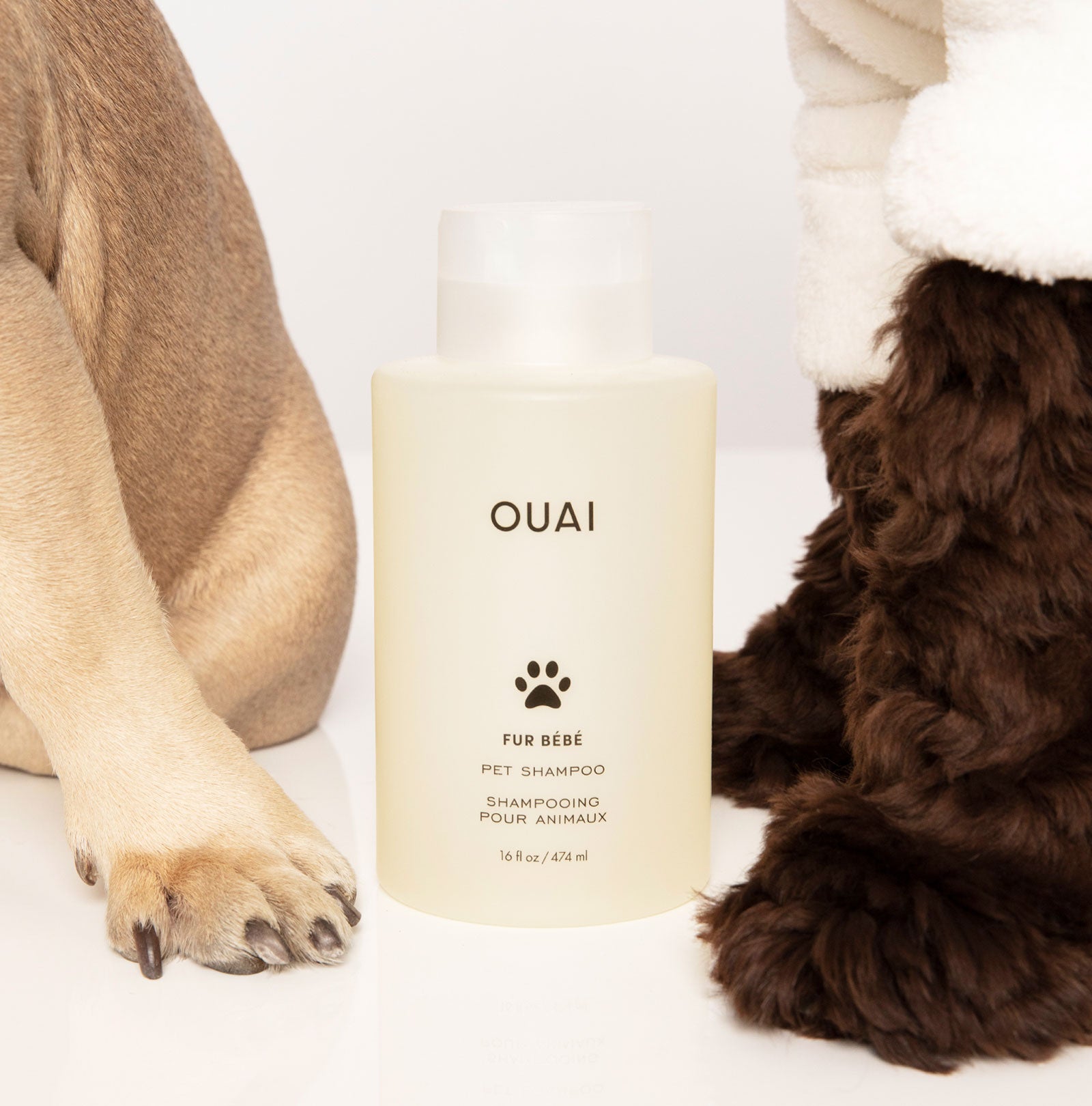 Fur Bébé - Eva Pet - Ouai