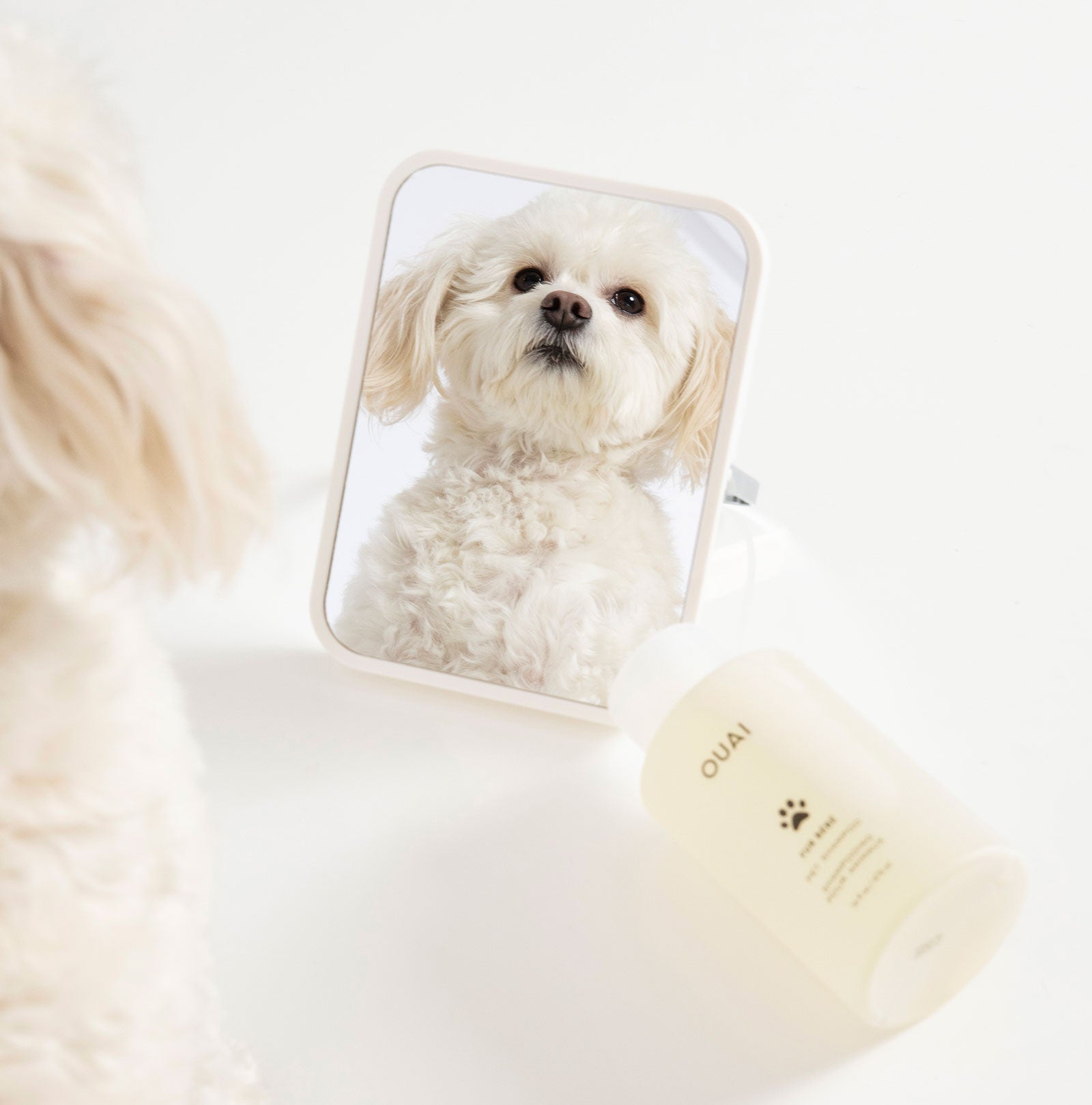 Fur Bébé - Eva Pet - Ouai