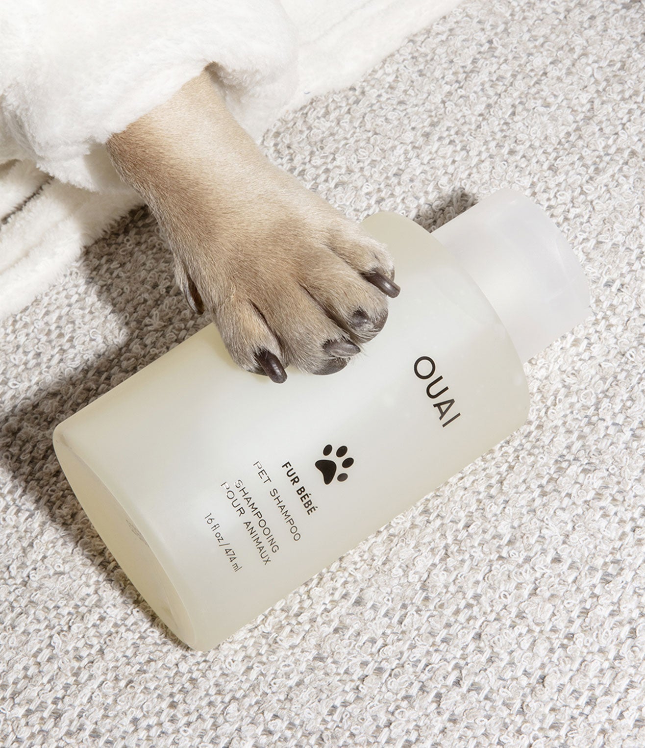 Fur Bébé - Eva Pet - Ouai