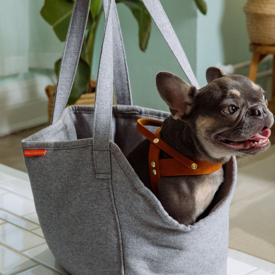 Alpine Dog Carrier - Grey