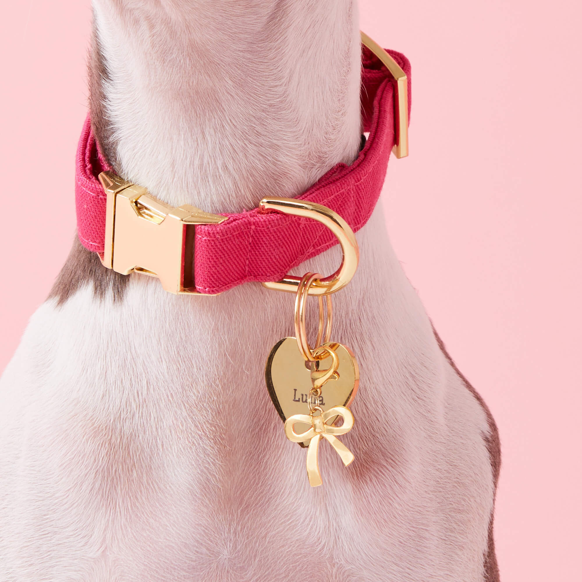 Hot Pink Dog Collar - Eva Pet - The Foggy Dog