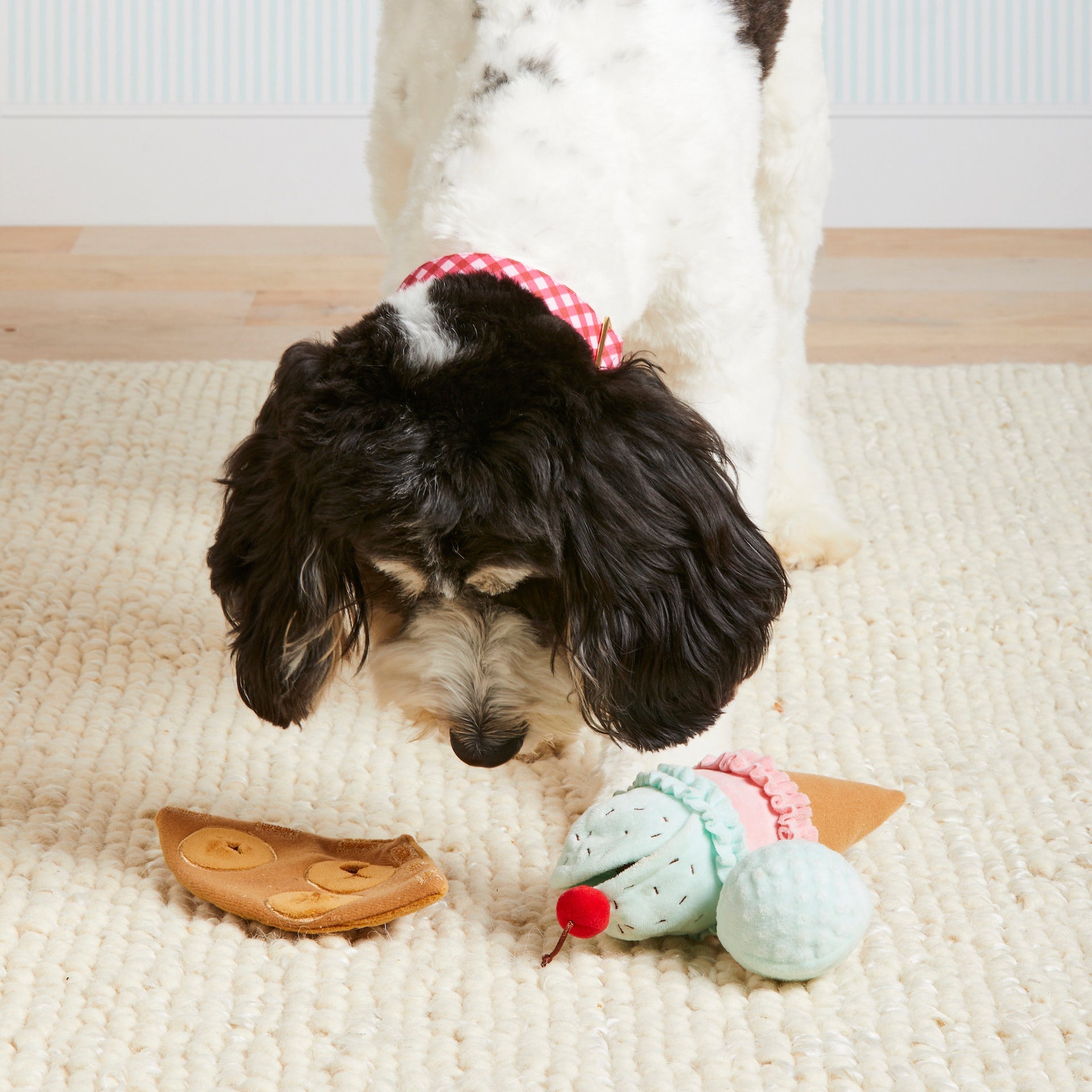 Ice Cream Interactive Snuffle Dog Toy - Eva Pet - The Foggy Dog