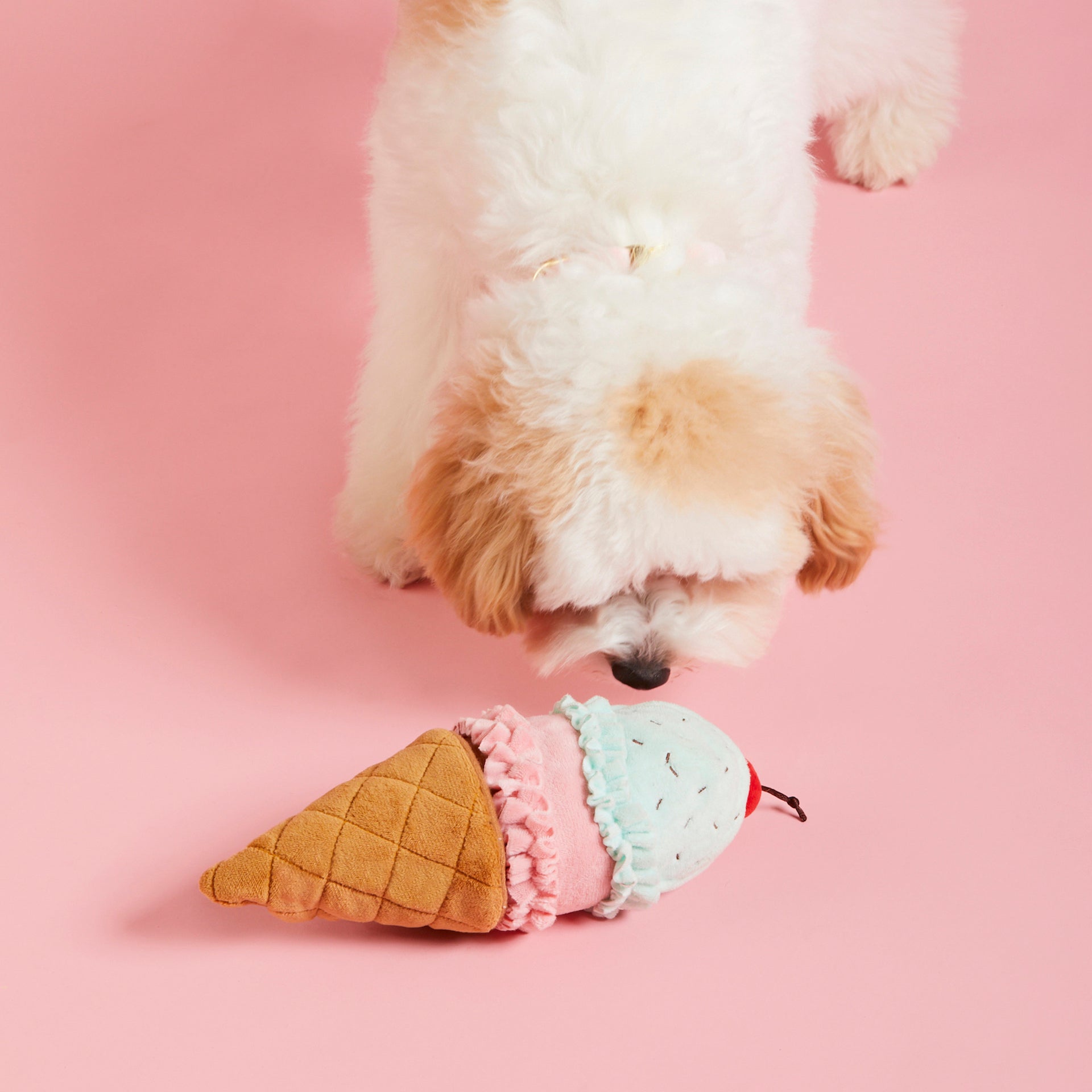Ice Cream Interactive Snuffle Dog Toy - Eva Pet - The Foggy Dog
