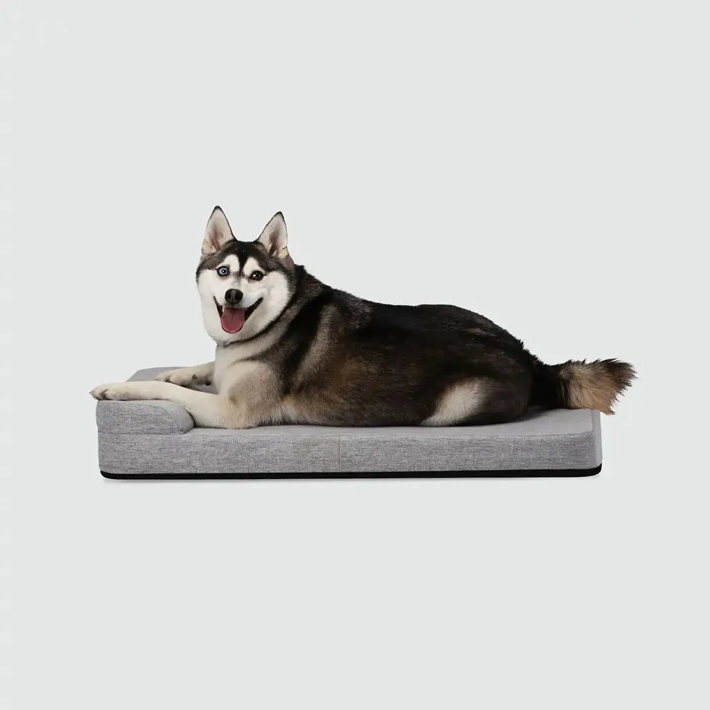 Bolstr Evolv Bed