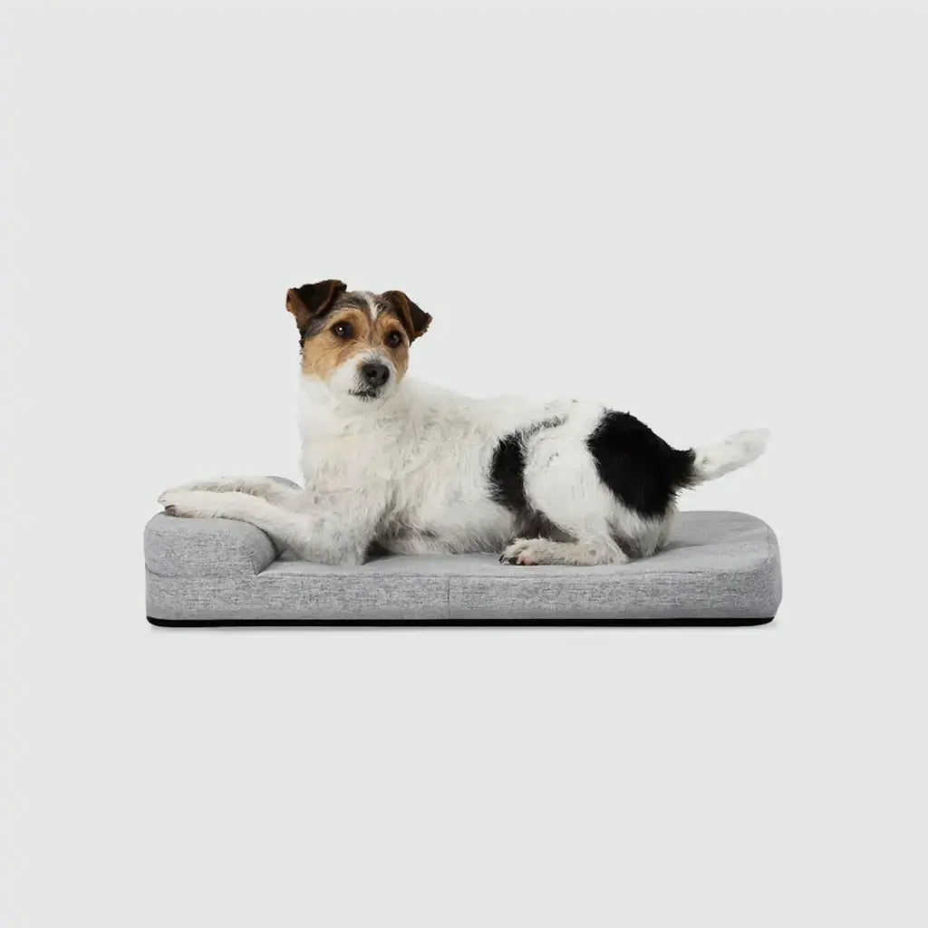 Bolstr Evolv Bed