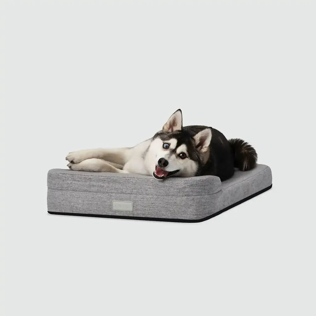 Bolstr Evolv Bed