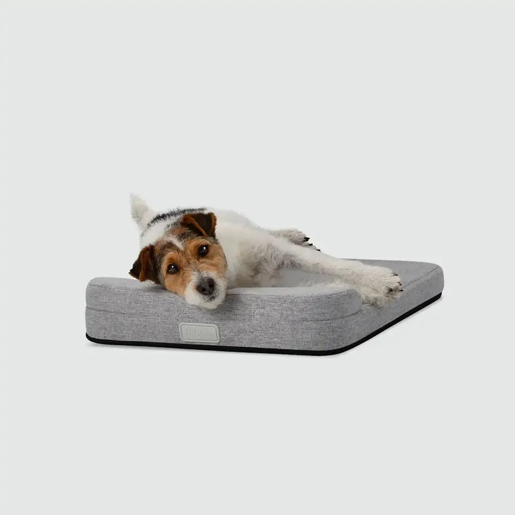 Bolstr Evolv Bed