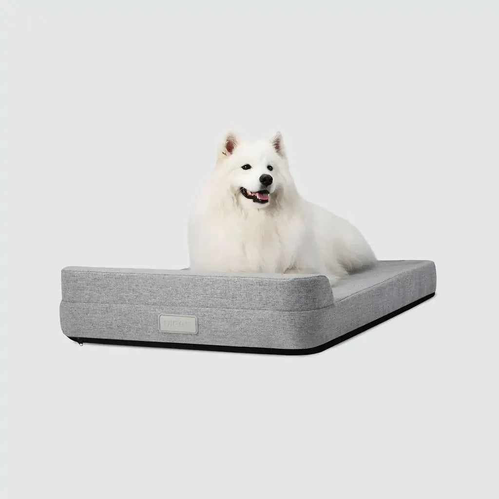 Bolstr Evolv Bed