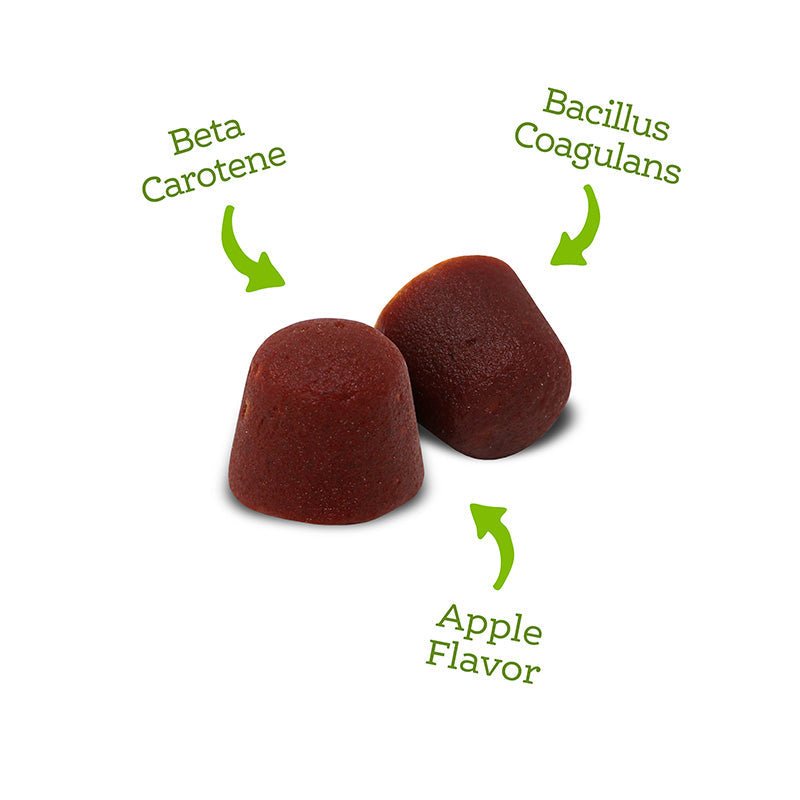 Immune+ Digestive Support Gummy Supplements - Eva Pet - NutriSource