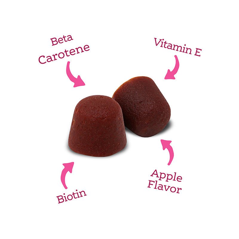 Immune+ Skin, Coat & Nail Support Gummy Supplements - Eva Pet - NutriSource