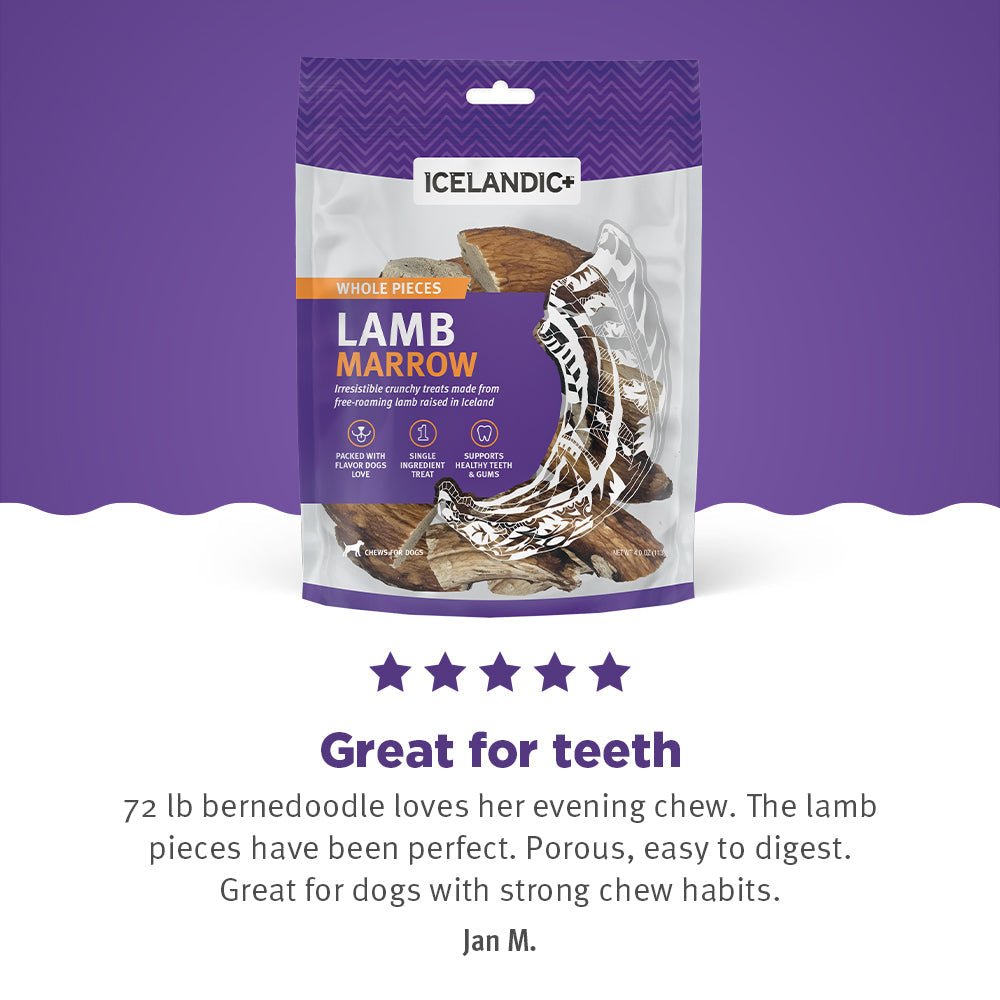 Lamb Marrow Whole Pieces Dog Treats - Eva Pet - Icelandic+