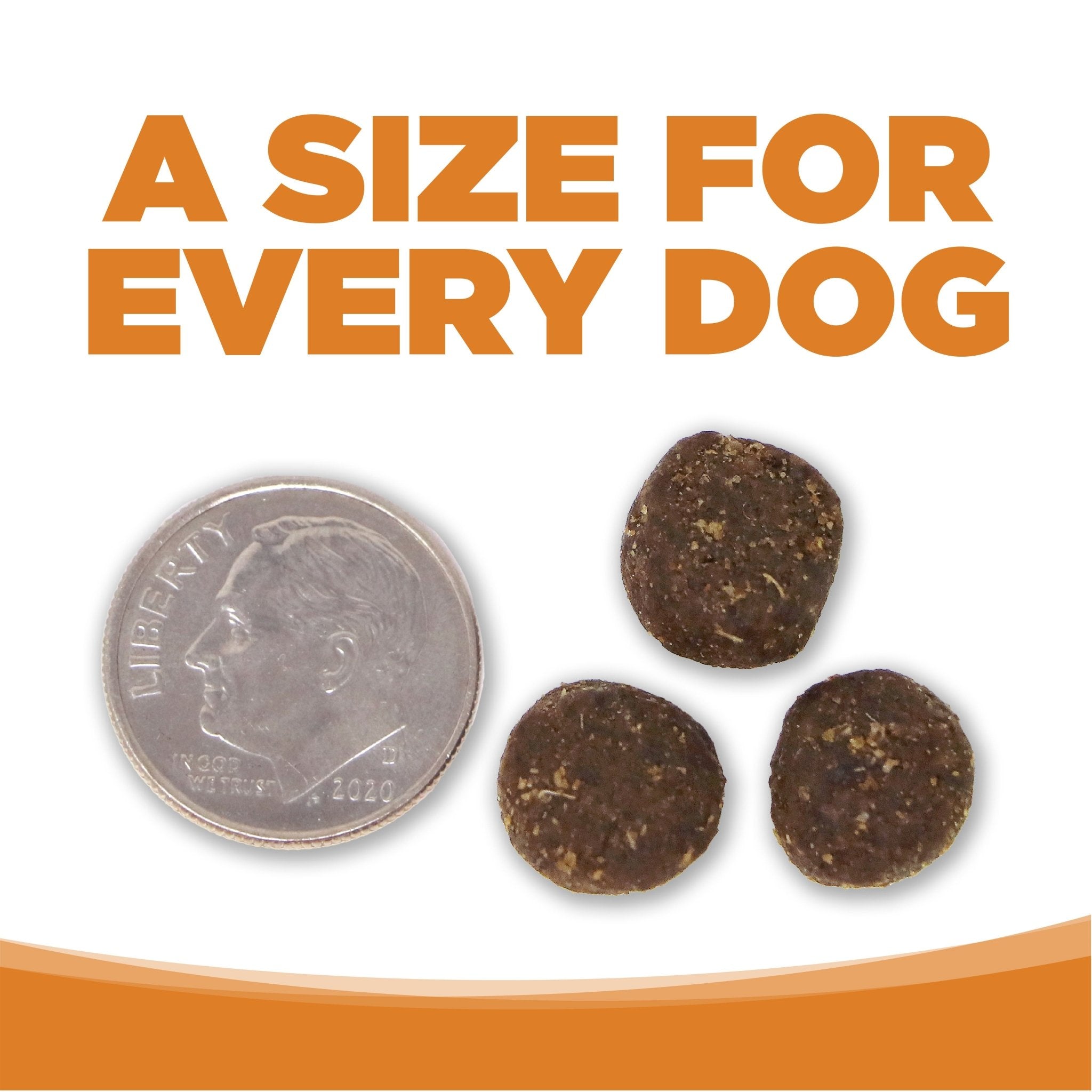 Lamb Meal & Rice - Eva Pet - NutriSource