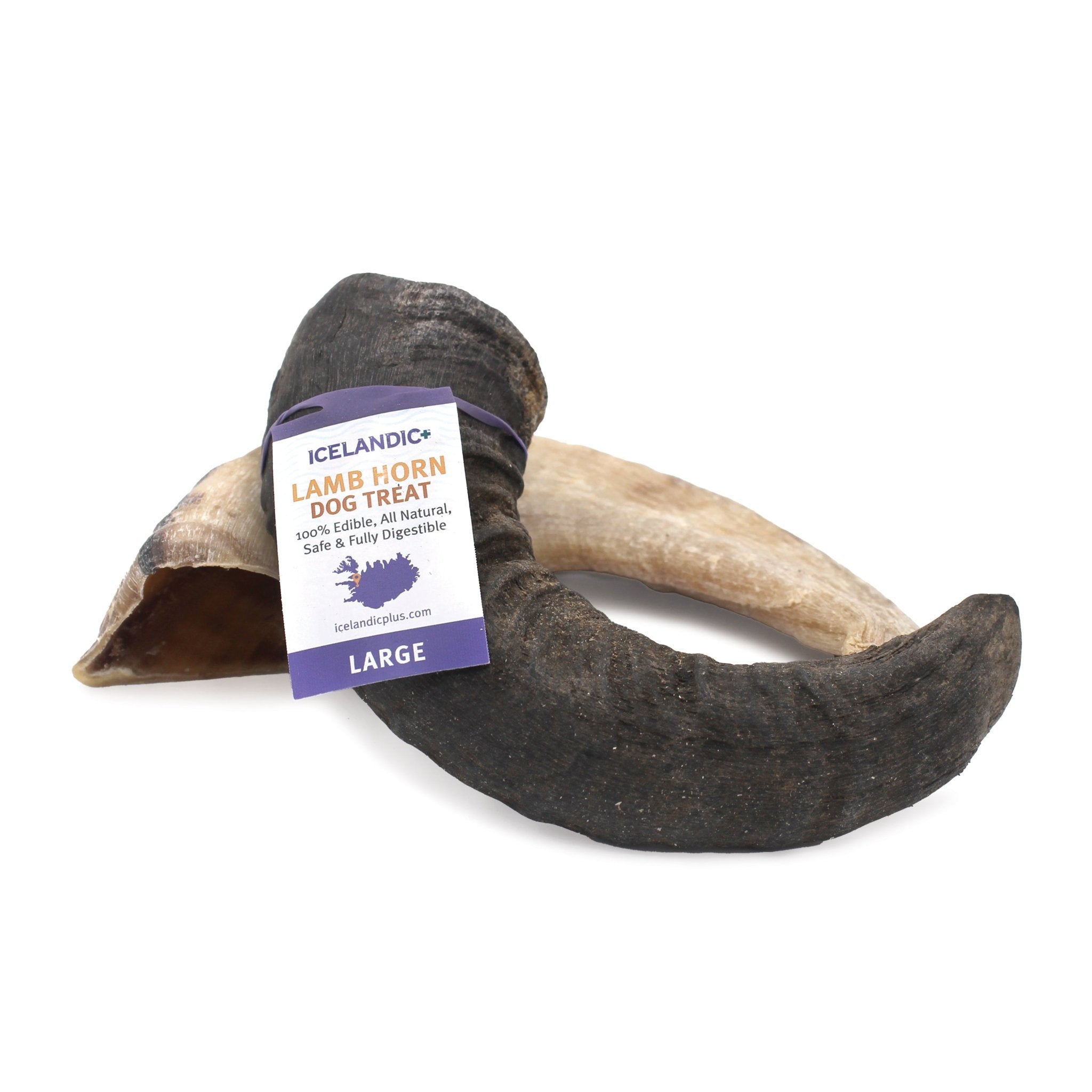 Large Lamb Horn Dog Chew - Eva Pet - Icelandic+