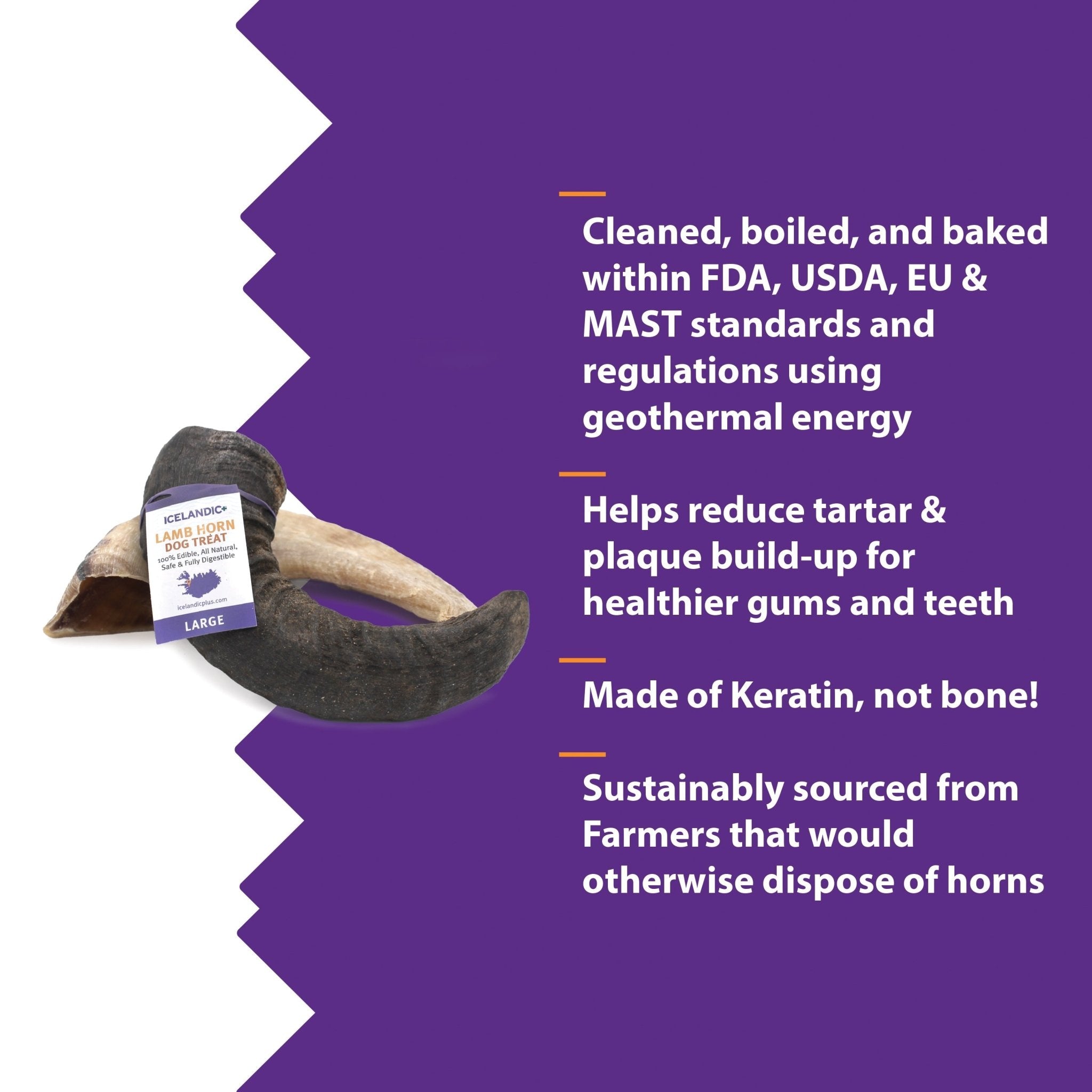 Large Lamb Horn Dog Chew - Eva Pet - Icelandic+
