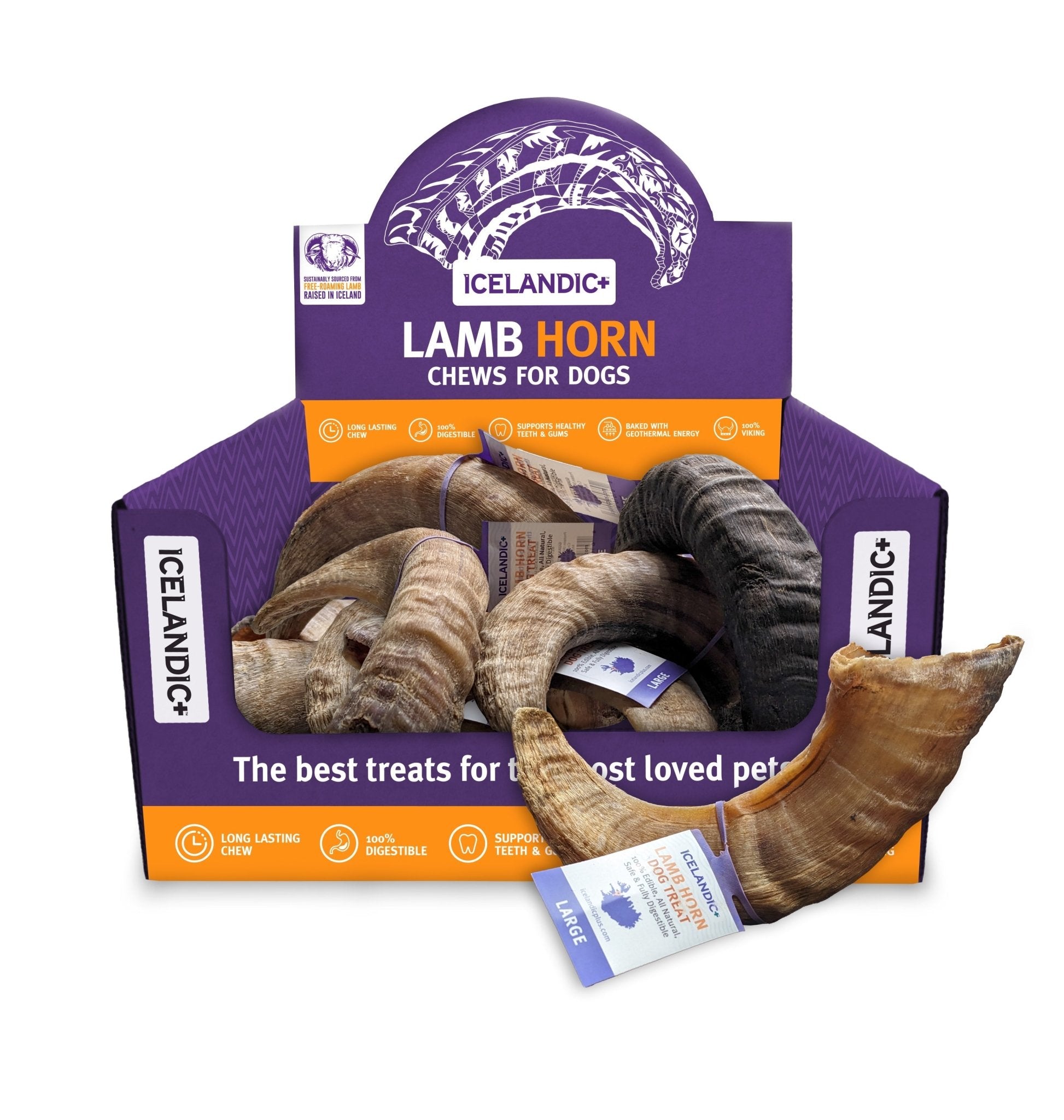 Large Lamb Horn Dog Chew - Eva Pet - Icelandic+