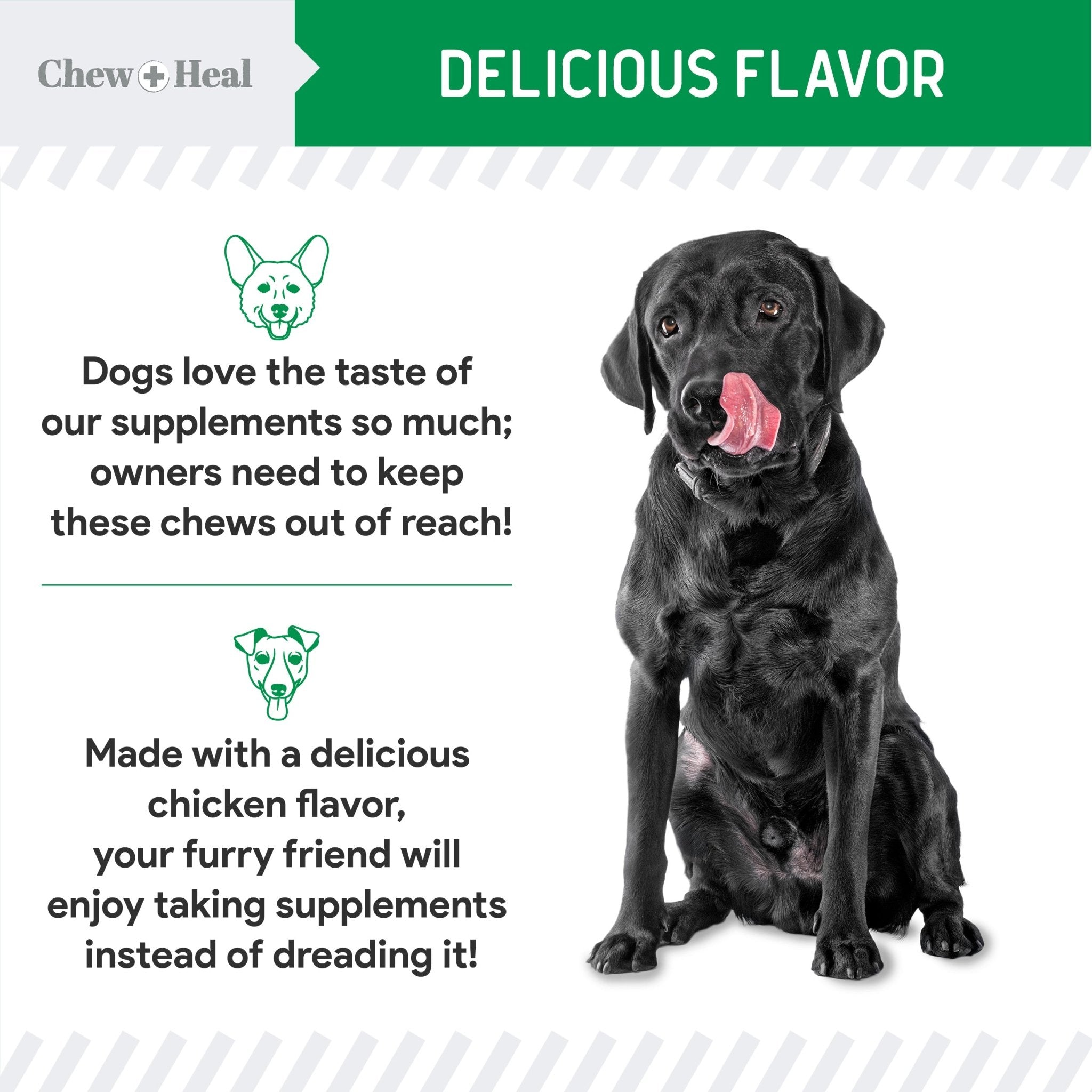 Lawn Saver Soft Chew Lawn Protection Supplement for Dogs - Eva Pet - Chew + Heal