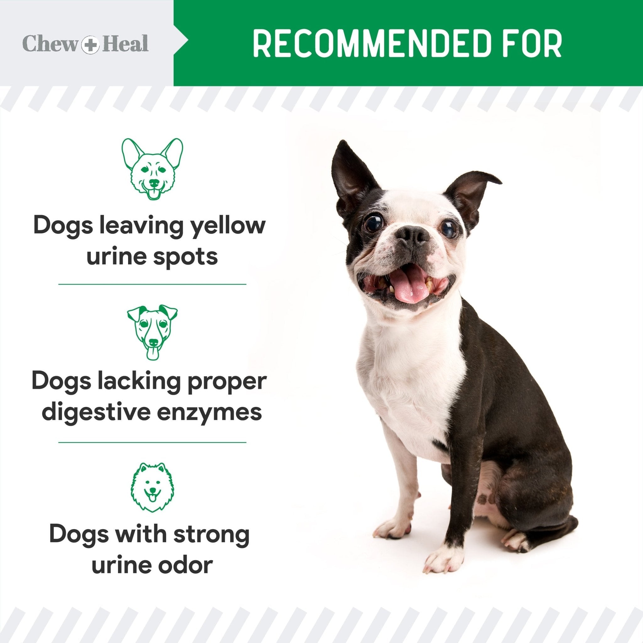 Lawn Saver Soft Chew Lawn Protection Supplement for Dogs - Eva Pet - Chew + Heal