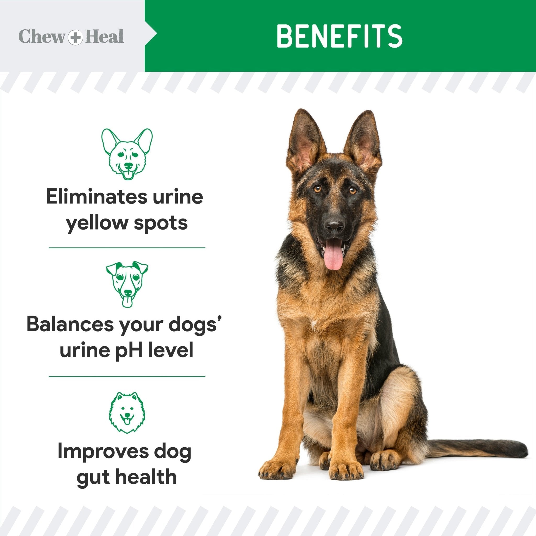 Lawn Saver Soft Chew Lawn Protection Supplement for Dogs - Eva Pet - Chew + Heal