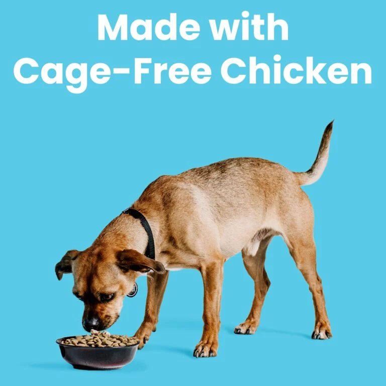 Liberty® Dry Food for Dogs – Chicken Recipe - Eva Pet - Bixbi