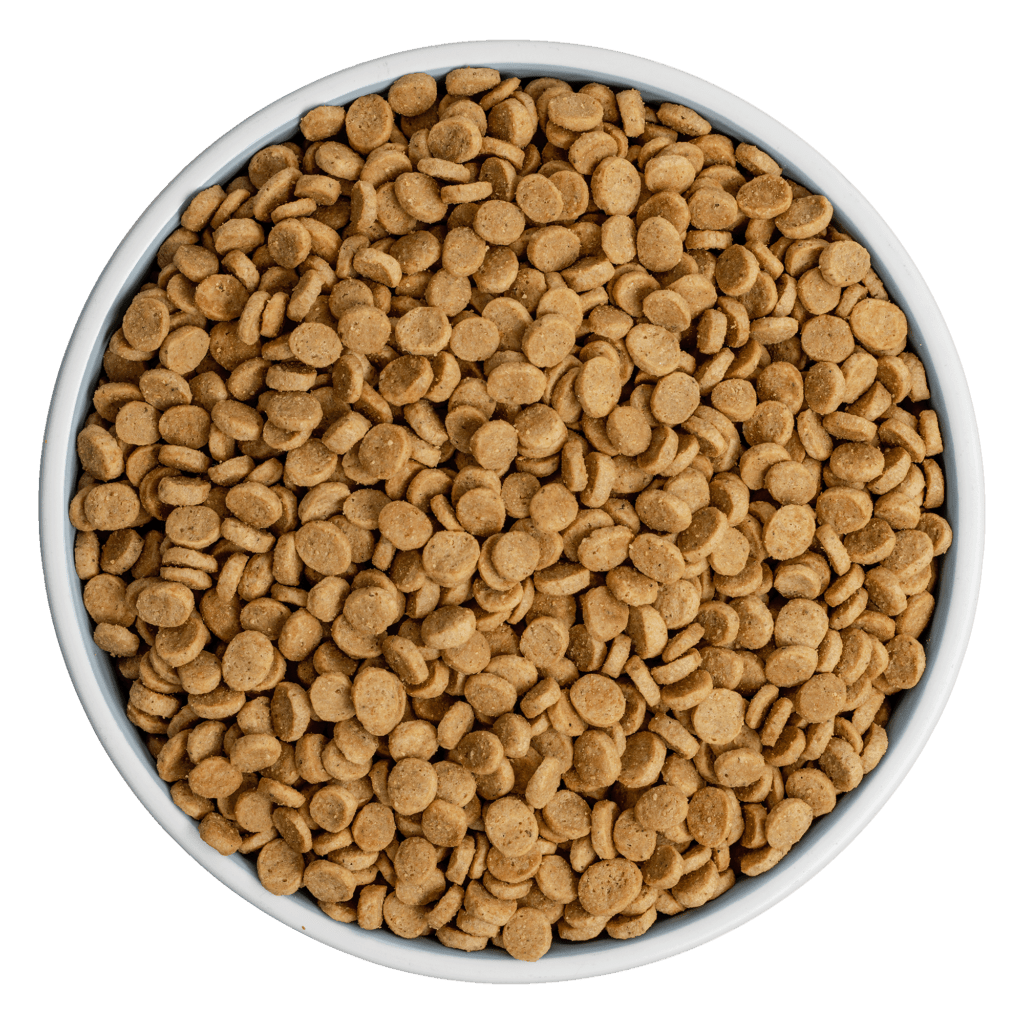 Liberty® Dry Food for Dogs – Game Bird Feast - Eva Pet - Bixbi