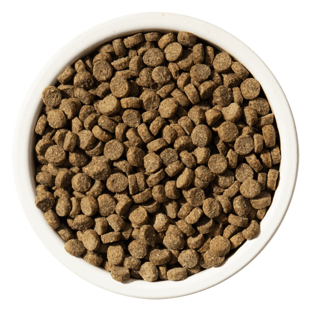 Liberty® Dry Food for Dogs – Original Recipe Puppy - Eva Pet - Bixbi