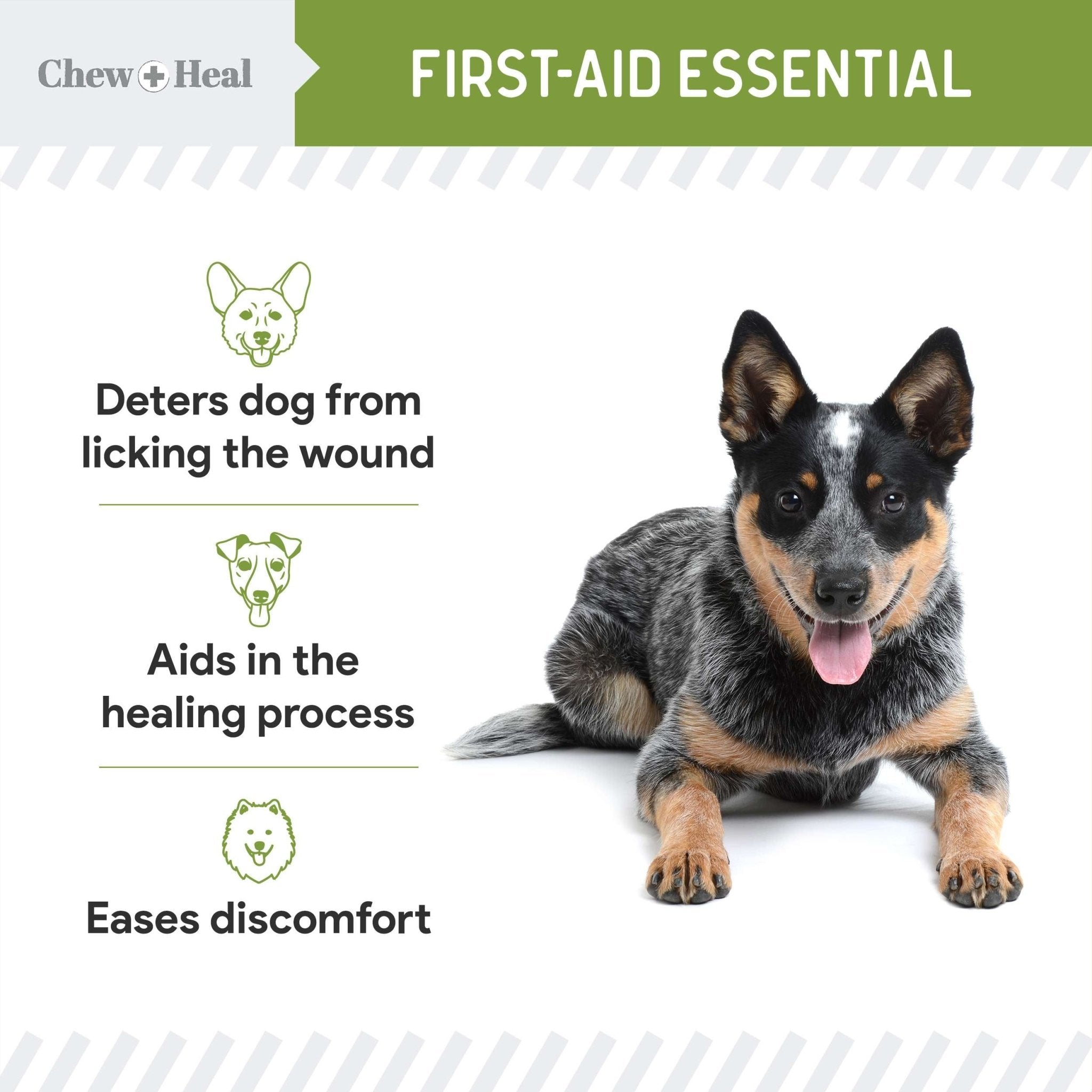 Liquid Bandage for Dogs - Eva Pet - Chew + Heal
