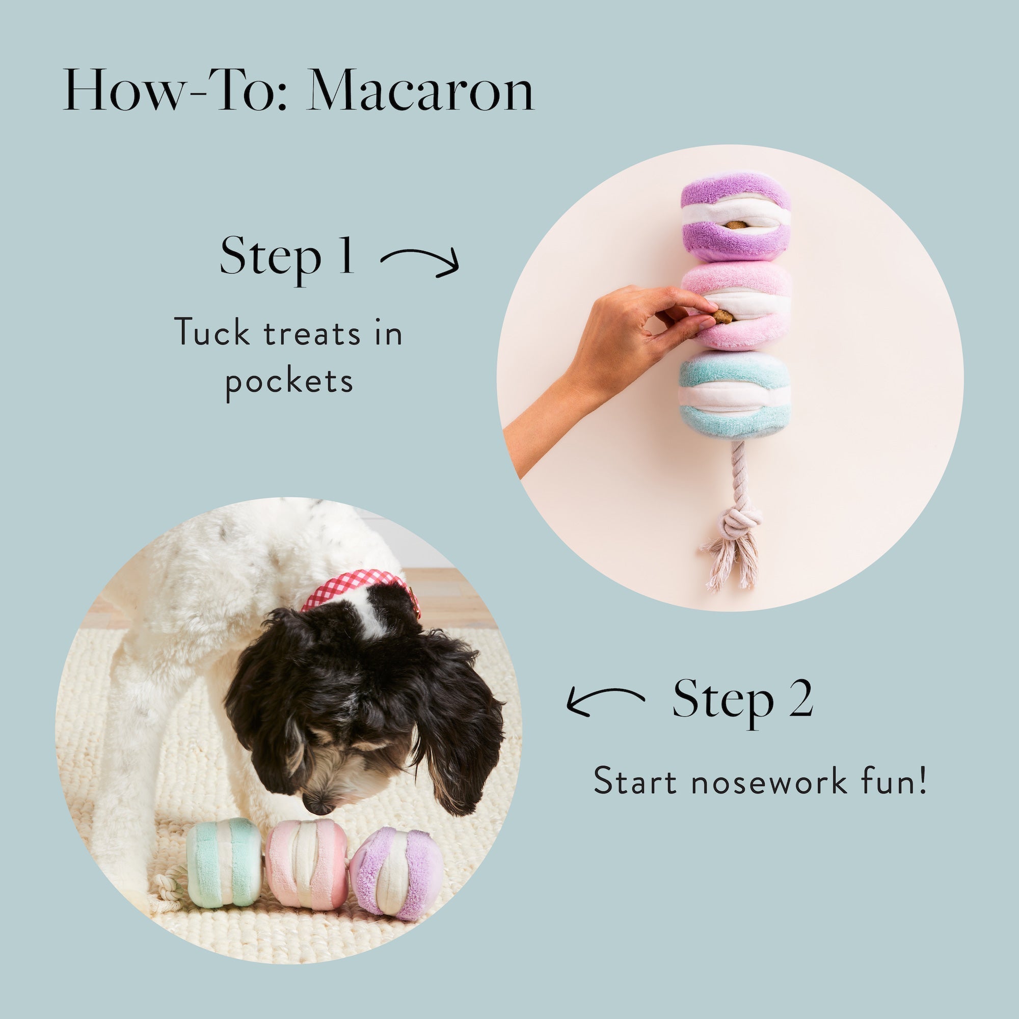 Macarons Interactive Snuffle Dog Toy - Eva Pet - The Foggy Dog