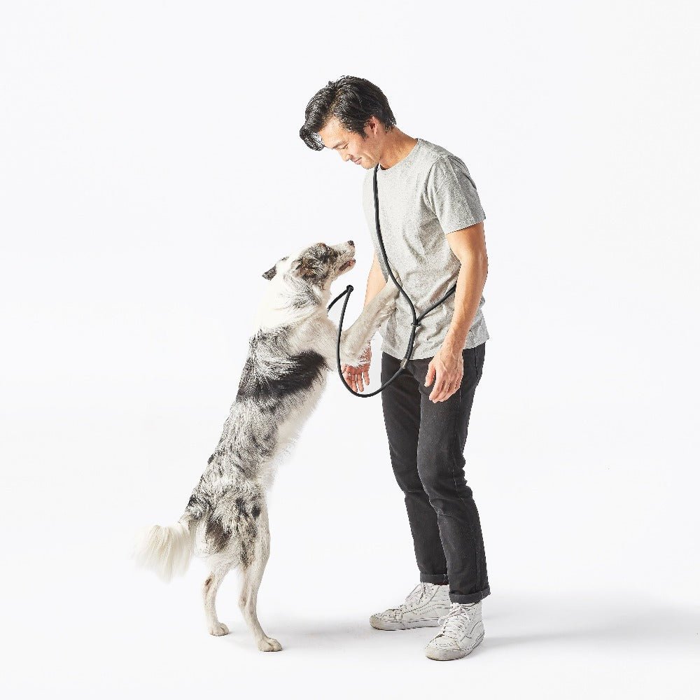 Magic Link® - Eva Pet - Fable Pets